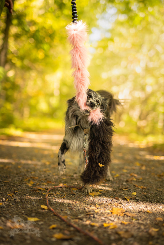 Elastisk fusk-og fåreskinnsjagerkampis L