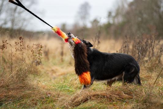 Elastisk fuske- og sauskinnsjagerkampis med pip - Str L