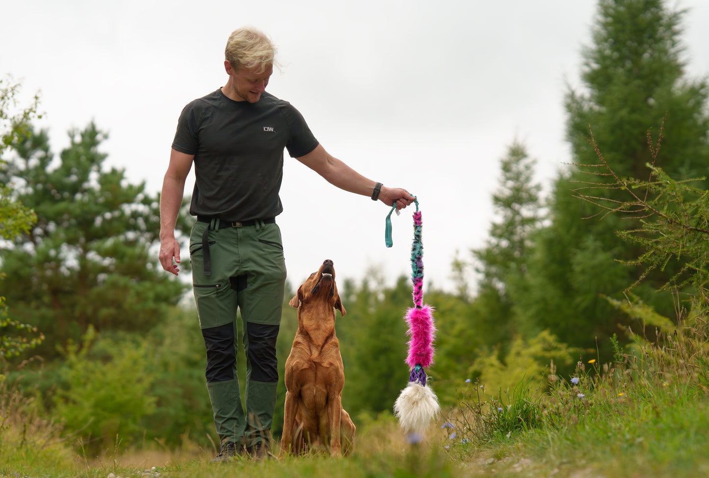 Elastisk Hol-ee Kometjagarkompis L