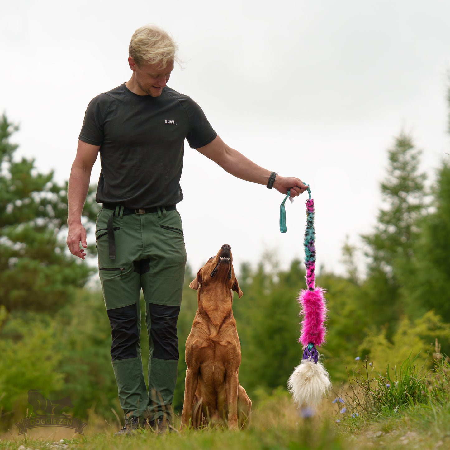 Elastisk Hol-ee Kometjagarkompis L