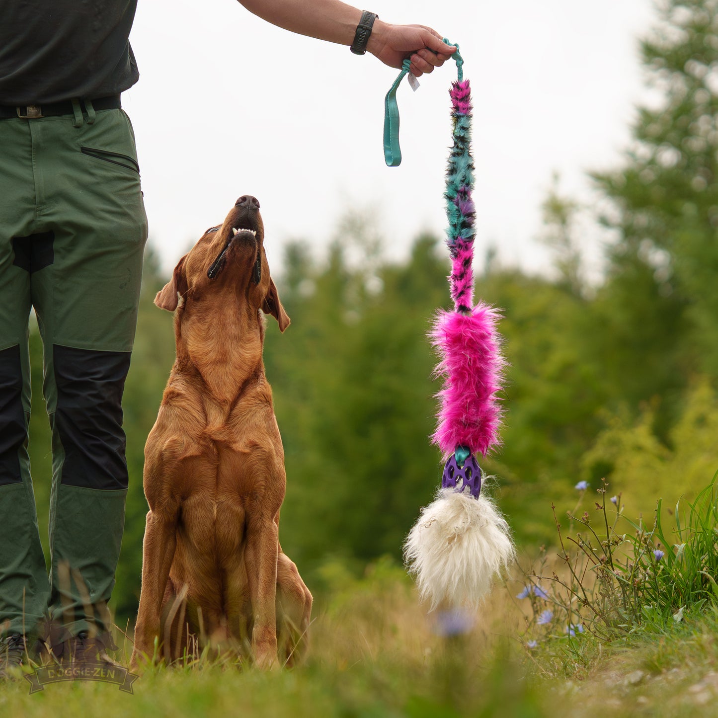 Elastisk Hol-ee Kometjagarkompis L