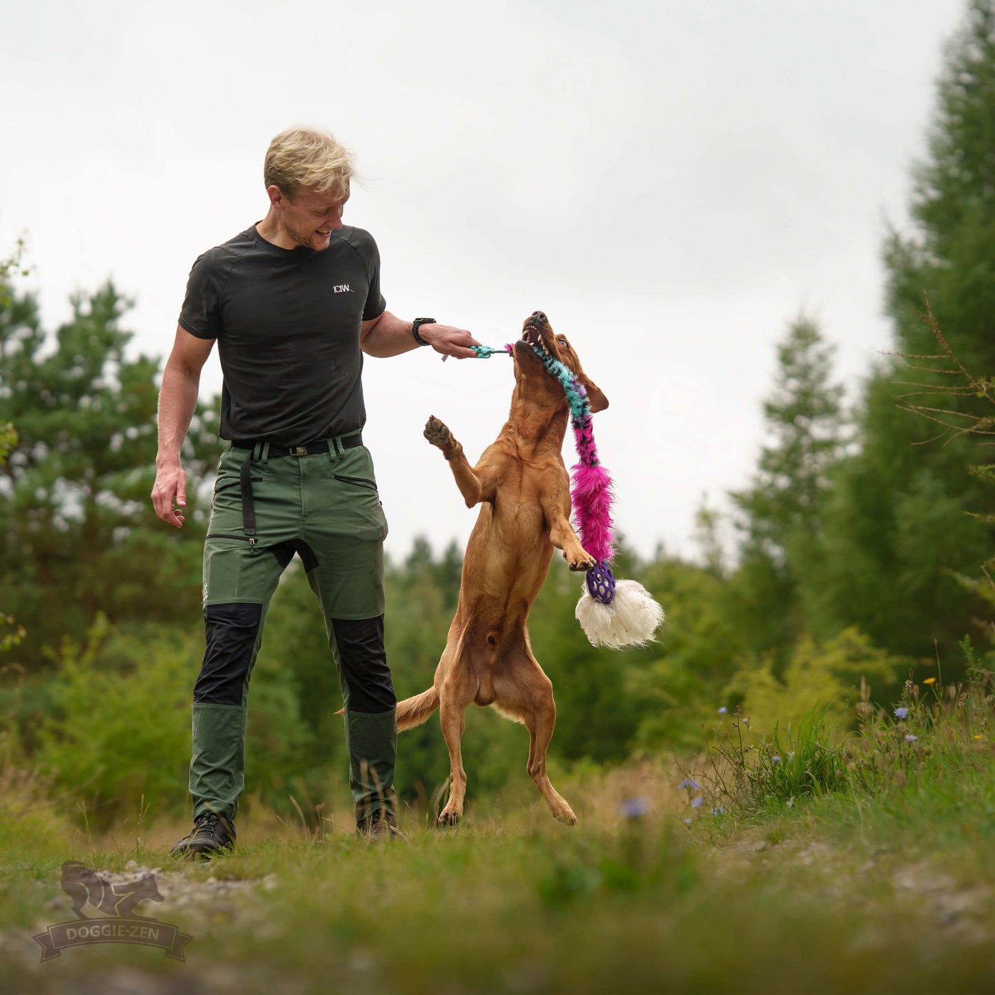 Elastisk Hol-ee Kometjagarkompis L