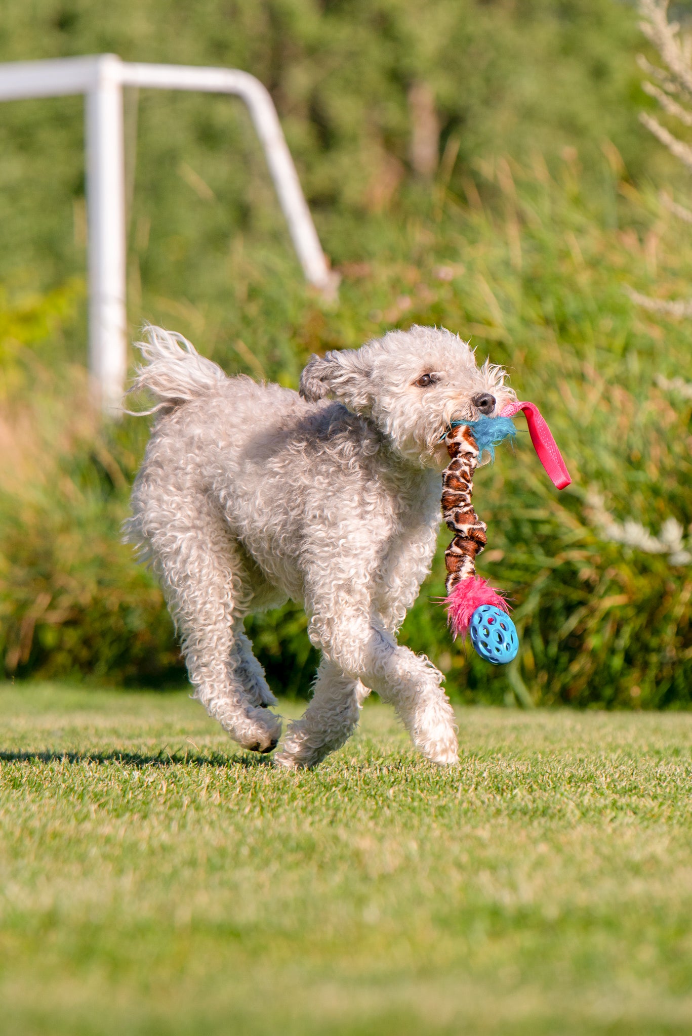 Elastisk Hol-ee Football prasselkampis str S