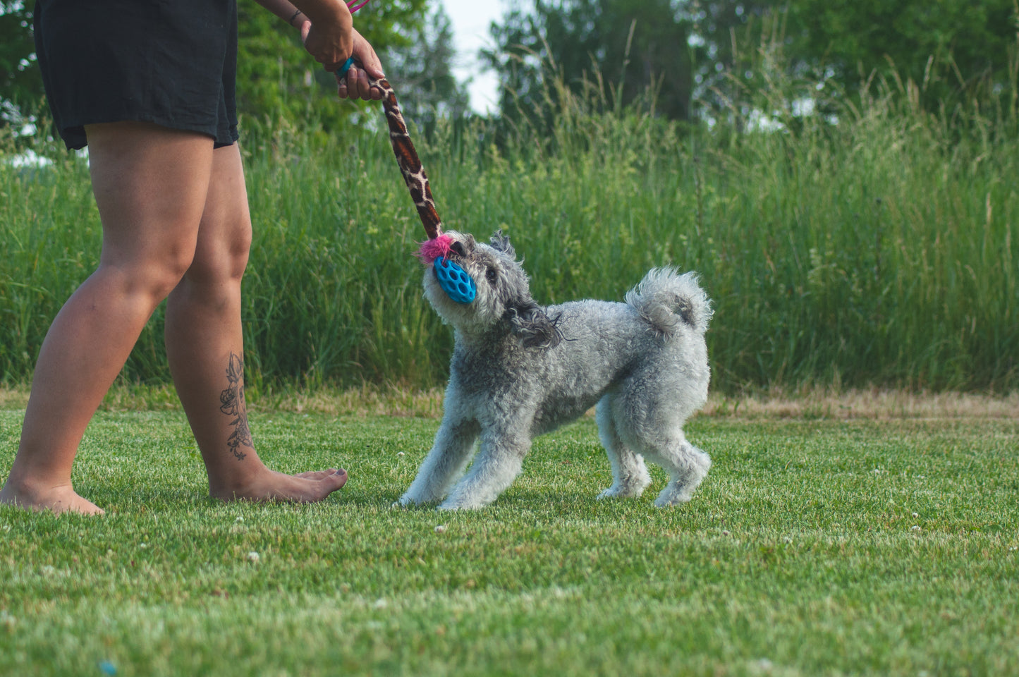 Elastisk Hol-ee Football prasselkampis str S