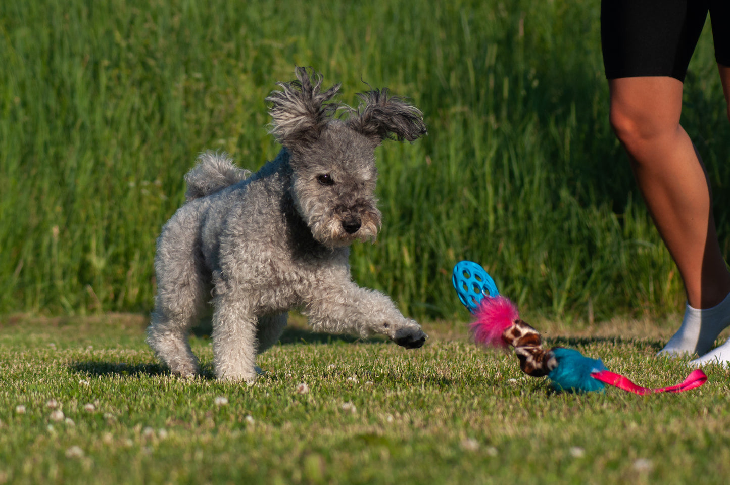 Elastisk Hol-ee Football prasselkampis str S
