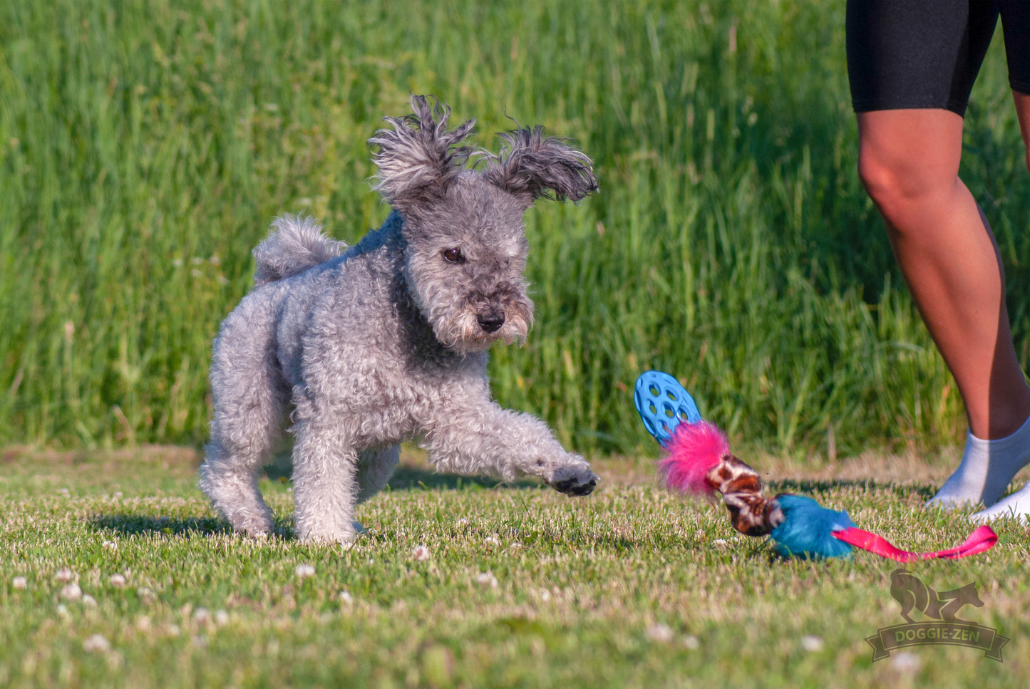 Elastisk Hol-ee Football prasselkampis str S