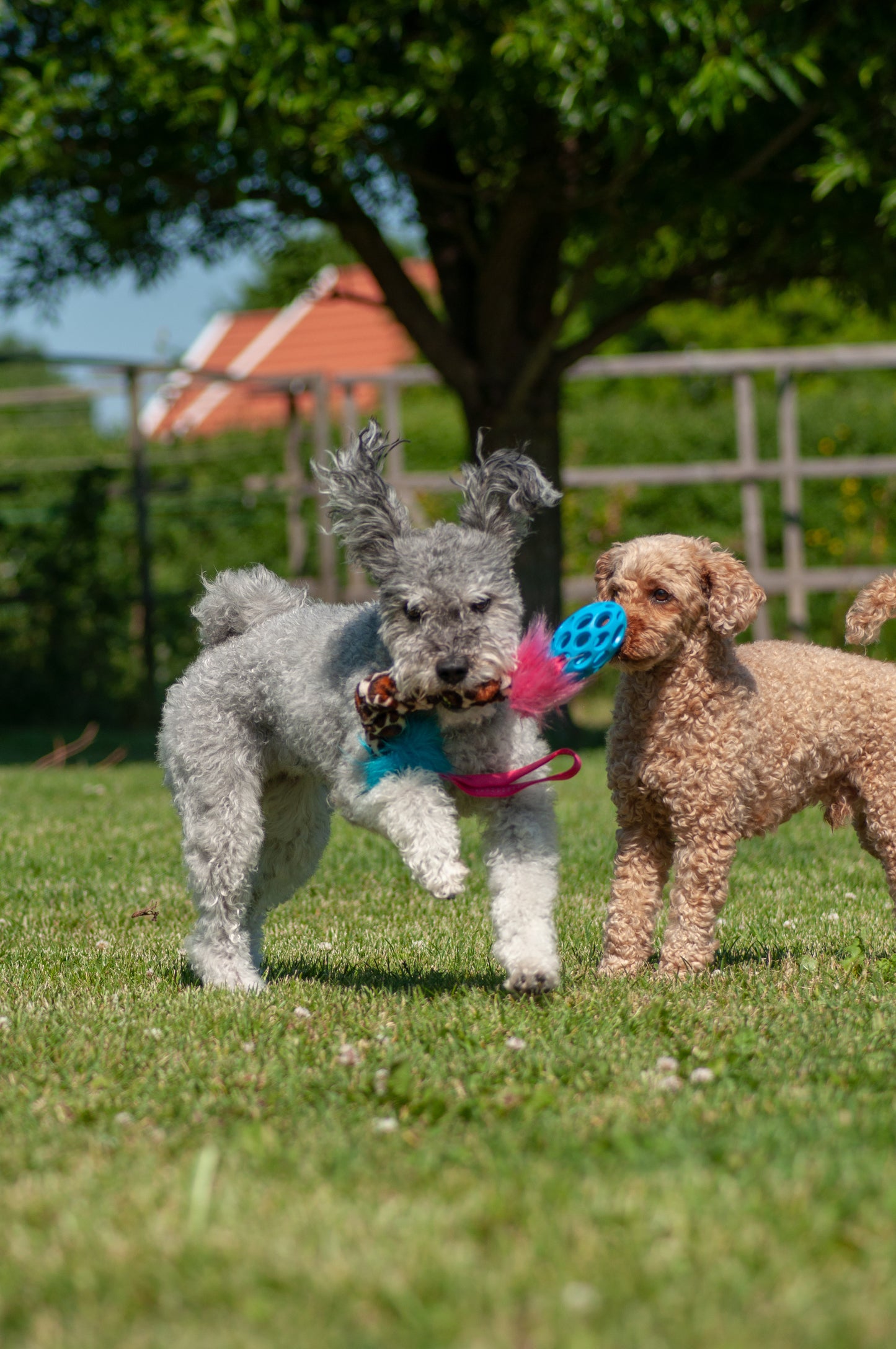 Elastisk Hol-ee Football prasselkampis str S