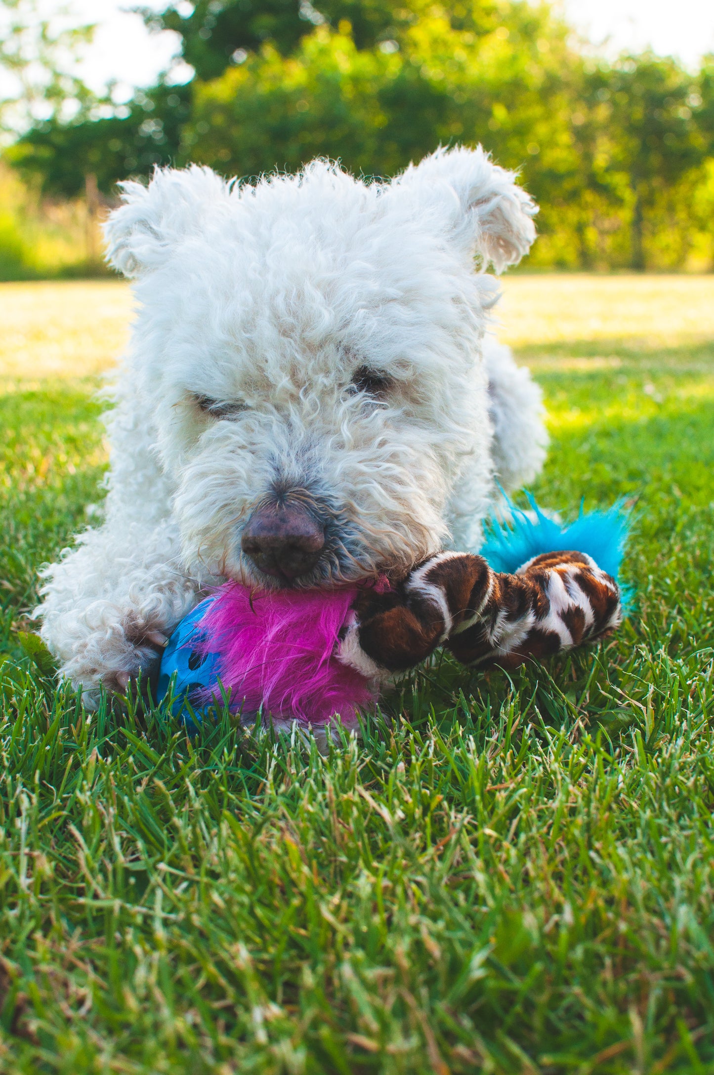 Elastisk Hol-ee Football prasselkampis str S