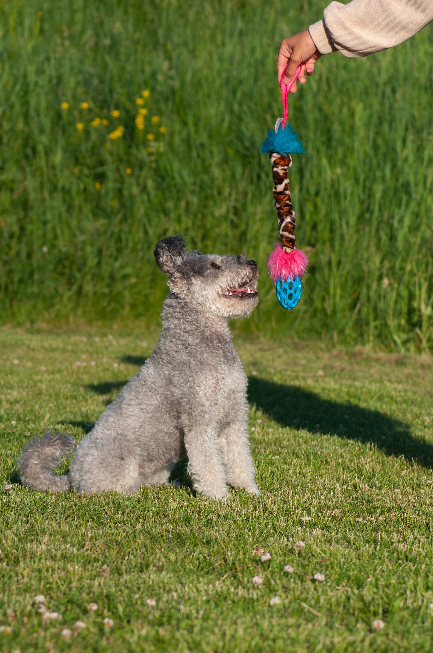 Elastisk Hol-ee Football prasselkampis str S