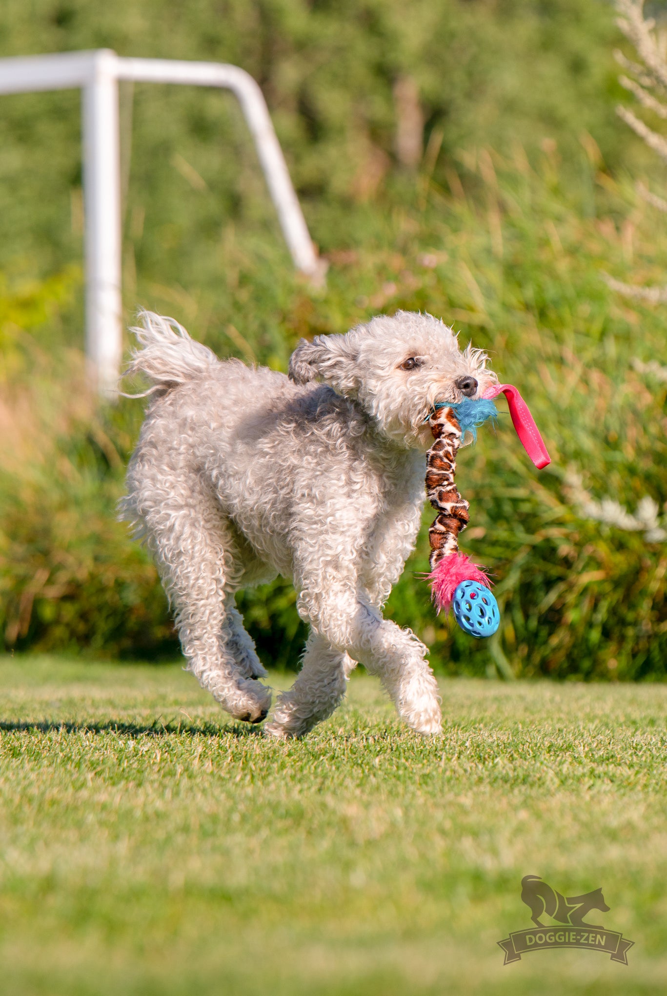 Elastisk Hol-ee Football prasselkampis str S