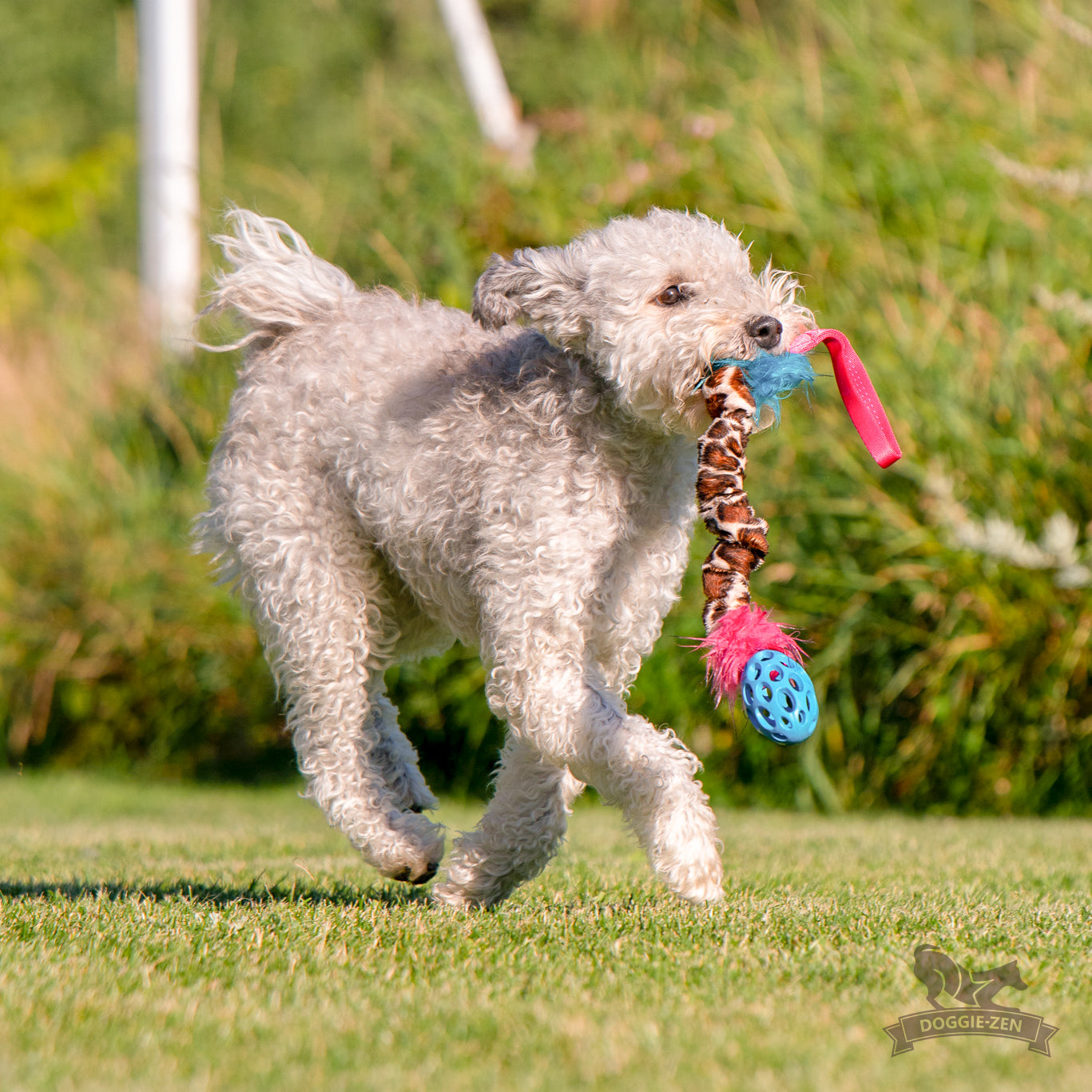 Elastisk Hol-ee Football prasselkampis str S