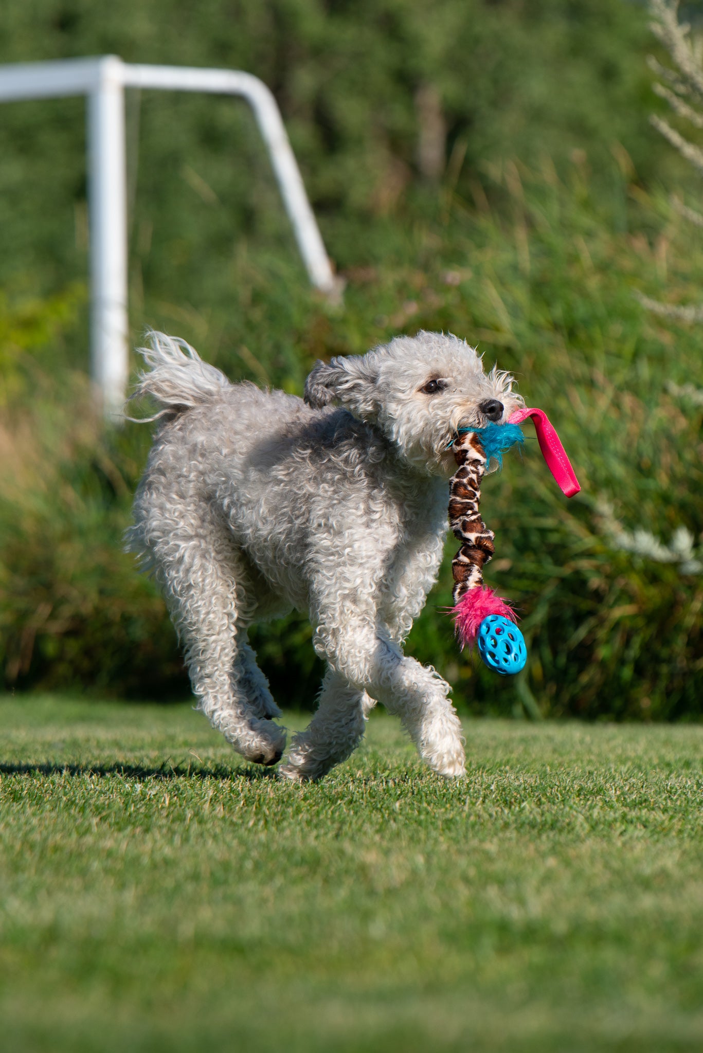 Elastisk Hol-ee Football prasselkampis str S