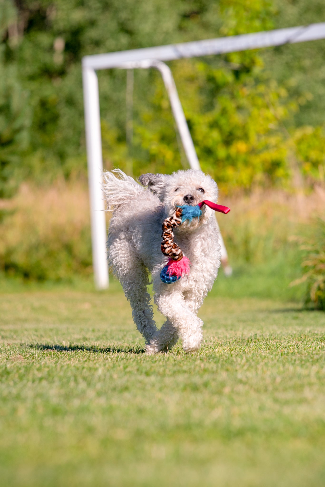 Elastisk Hol-ee Football prasselkampis str S