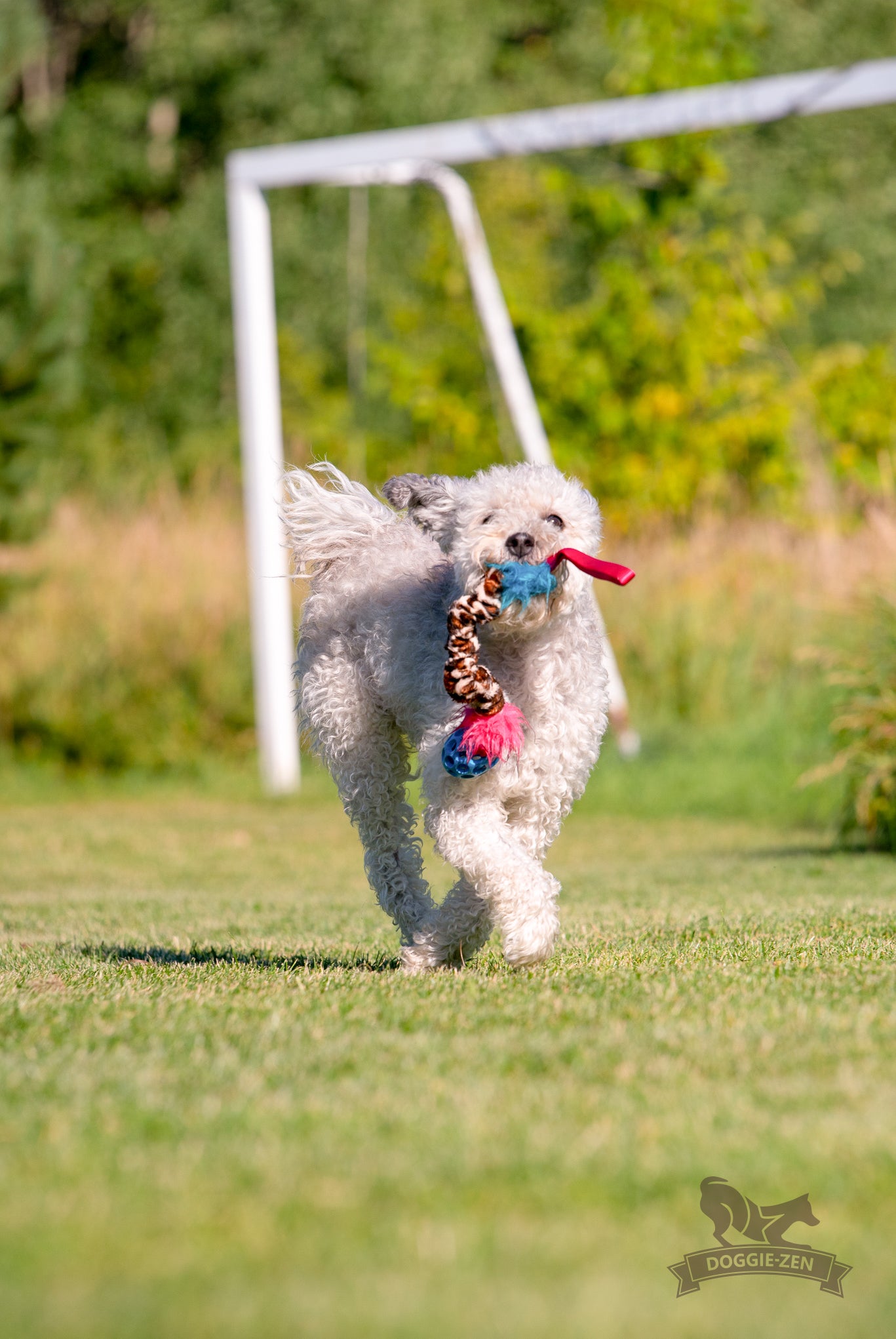 Elastisk Hol-ee Football prasselkampis str S