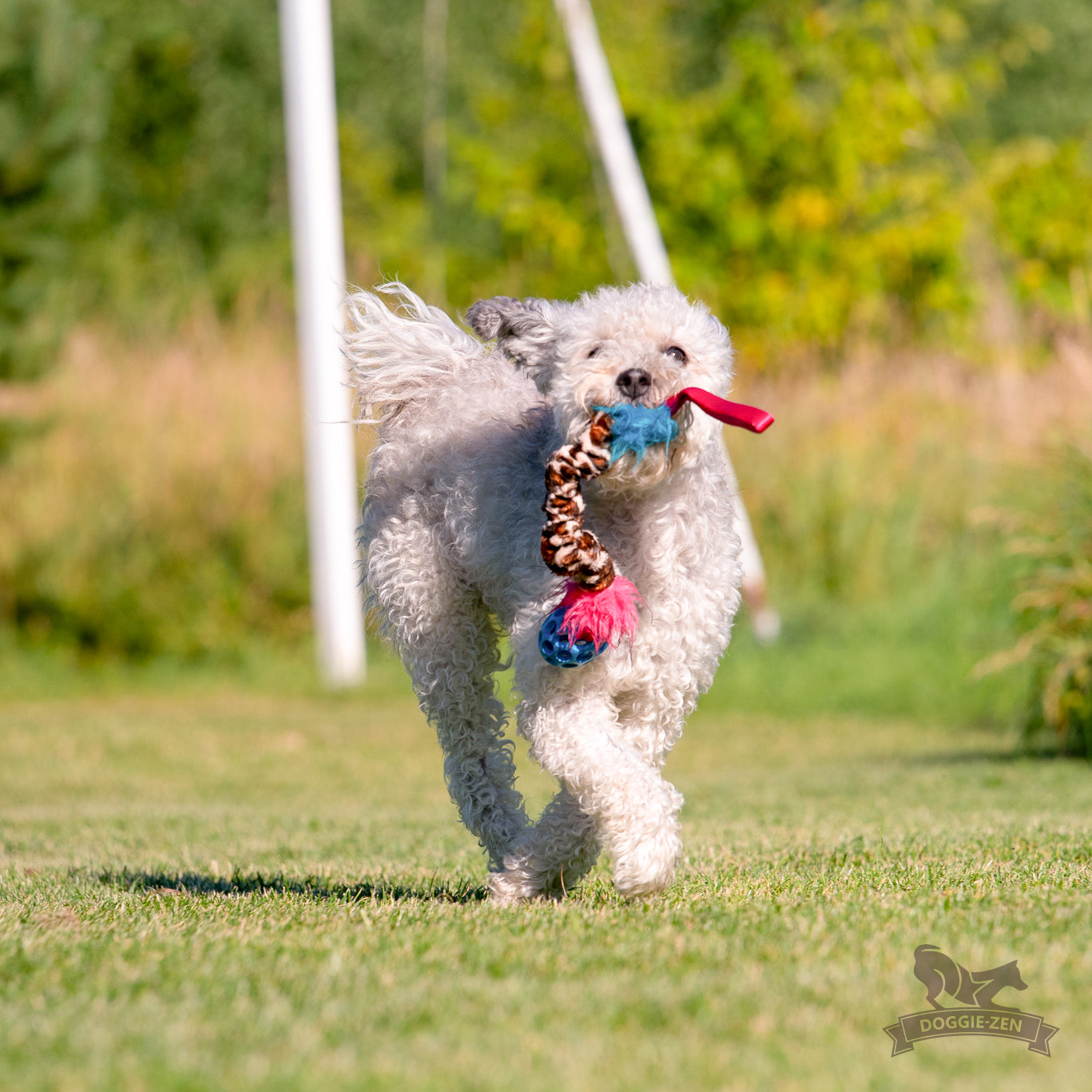 Elastisk Hol-ee Football prasselkampis str S