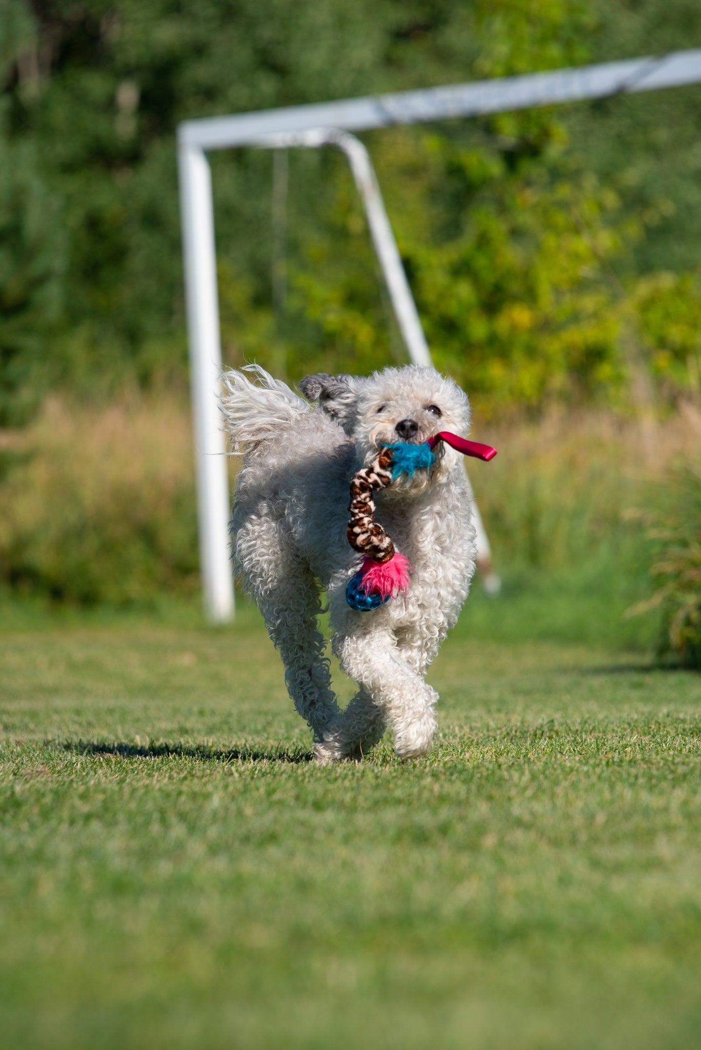 Elastisk Hol-ee Football prasselkampis str S