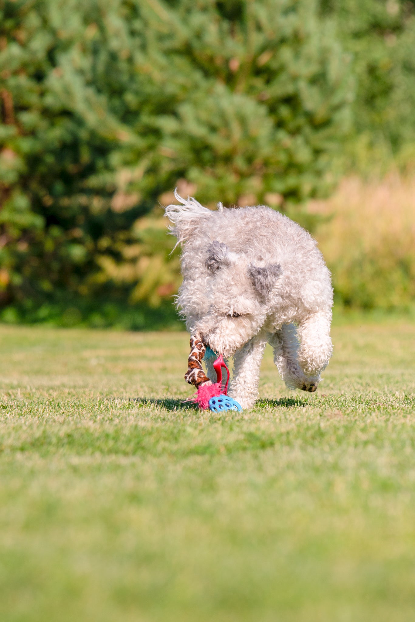 Elastisk Hol-ee Football prasselkampis str S