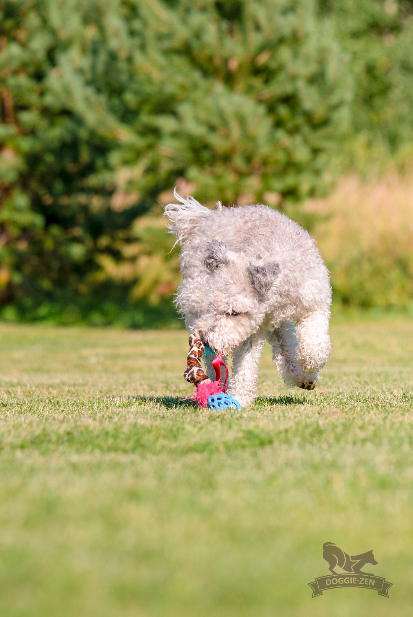 Elastisk Hol-ee Football prasselkampis str S
