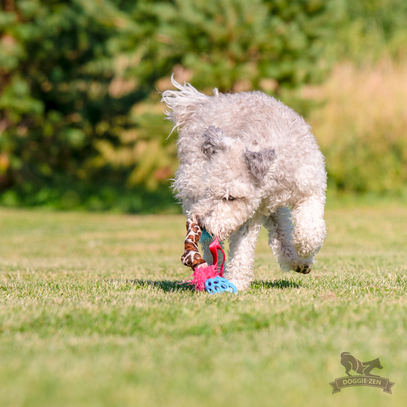 Elastisk Hol-ee Football prasselkampis str S