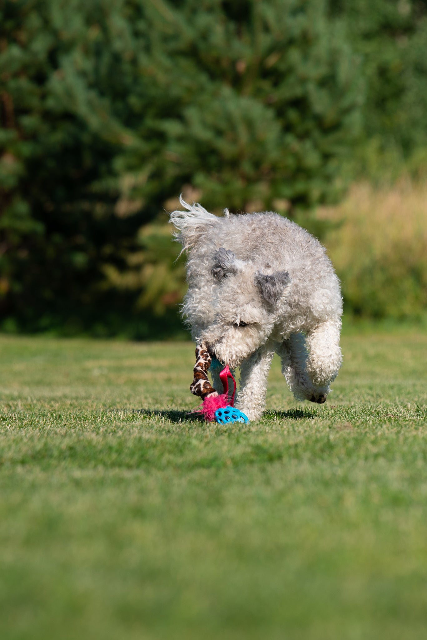 Elastisk Hol-ee Football prasselkampis str S