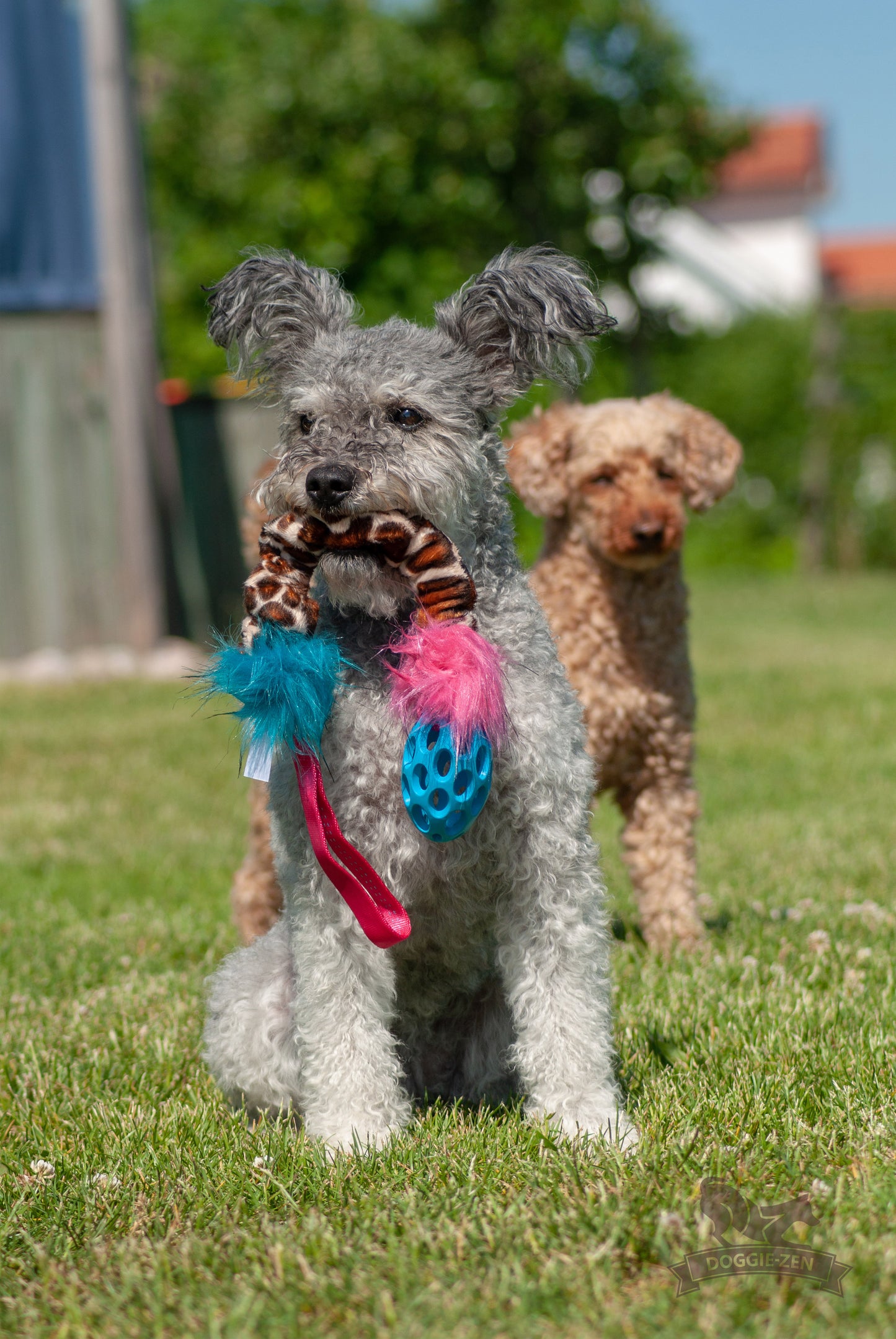 Elastisk Hol-ee Football prasselkampis str S