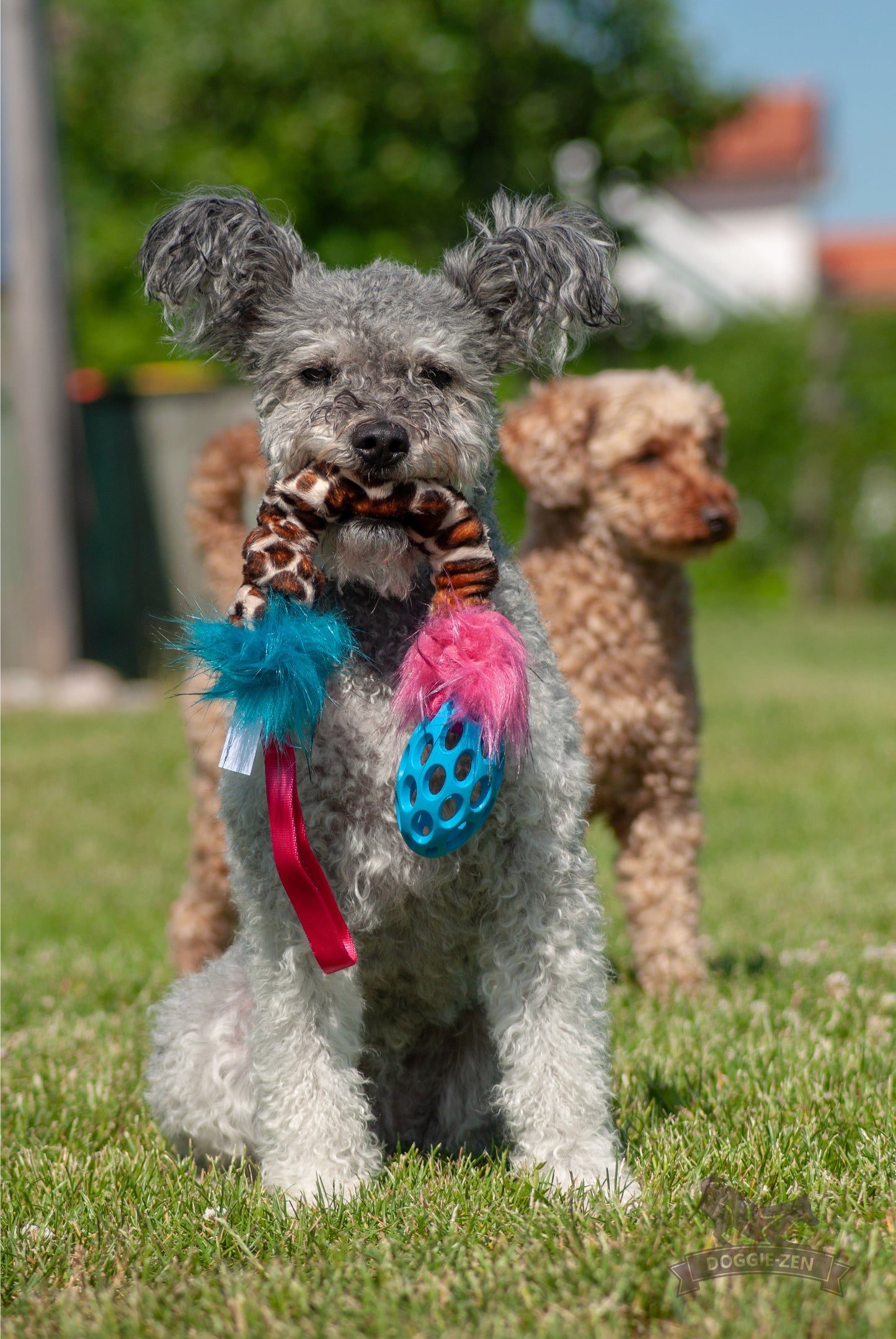 Elastisk Hol-ee Football prasselkampis str S