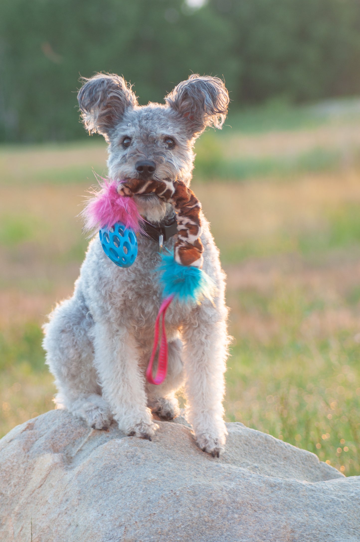 Elastisk Hol-ee Football prasselkampis str S