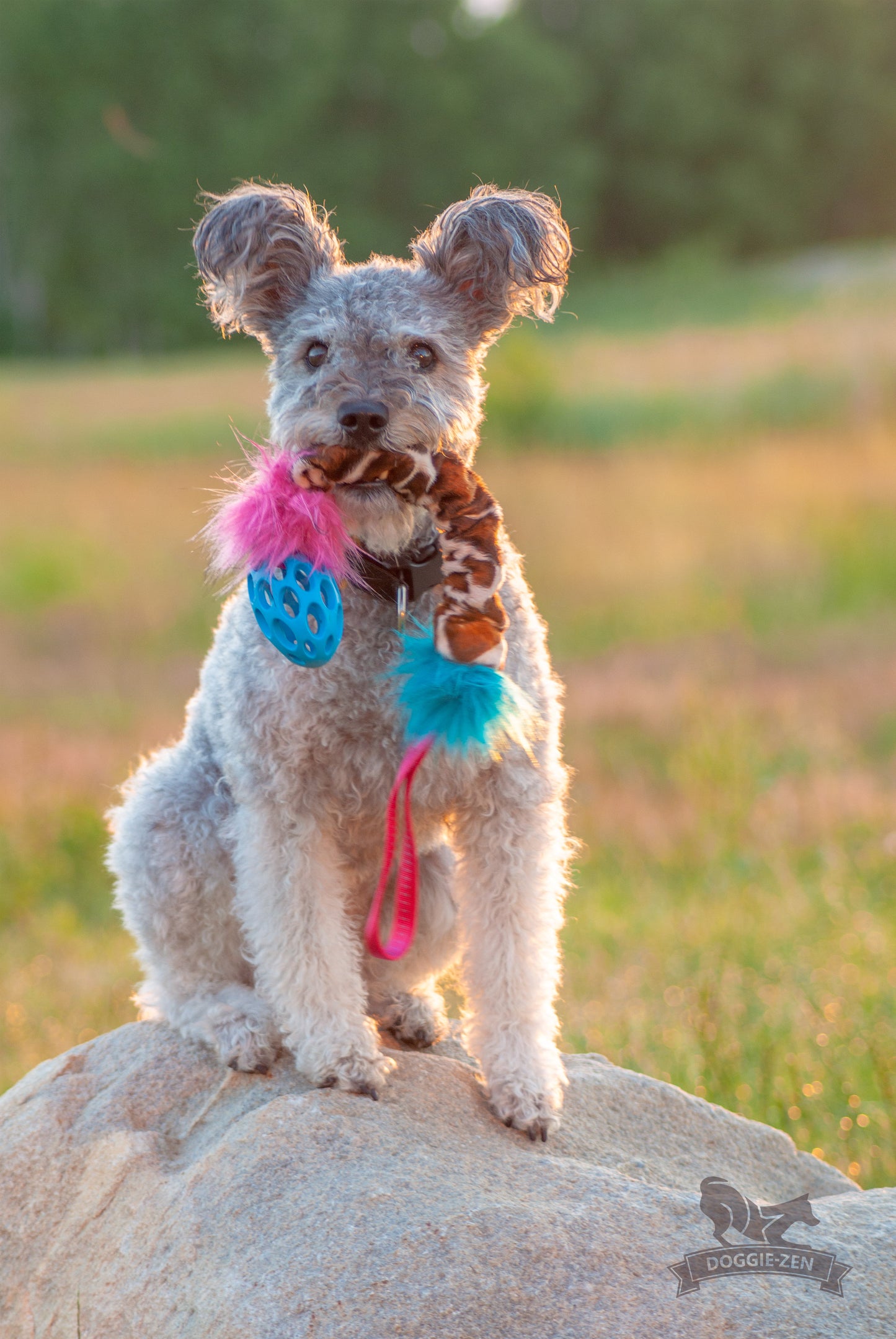 Elastisk Hol-ee Football prasselkampis str S