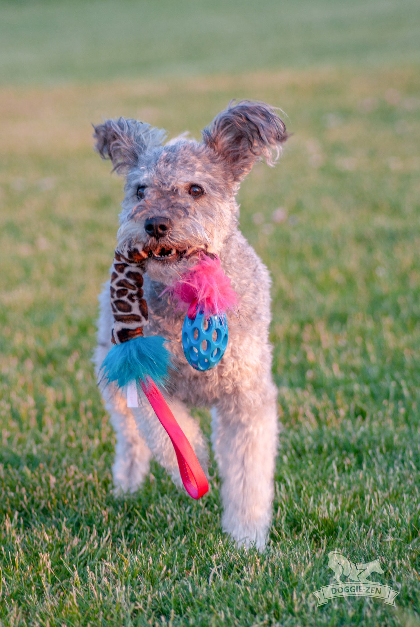 Elastisk Hol-ee Football prasselkampis str S