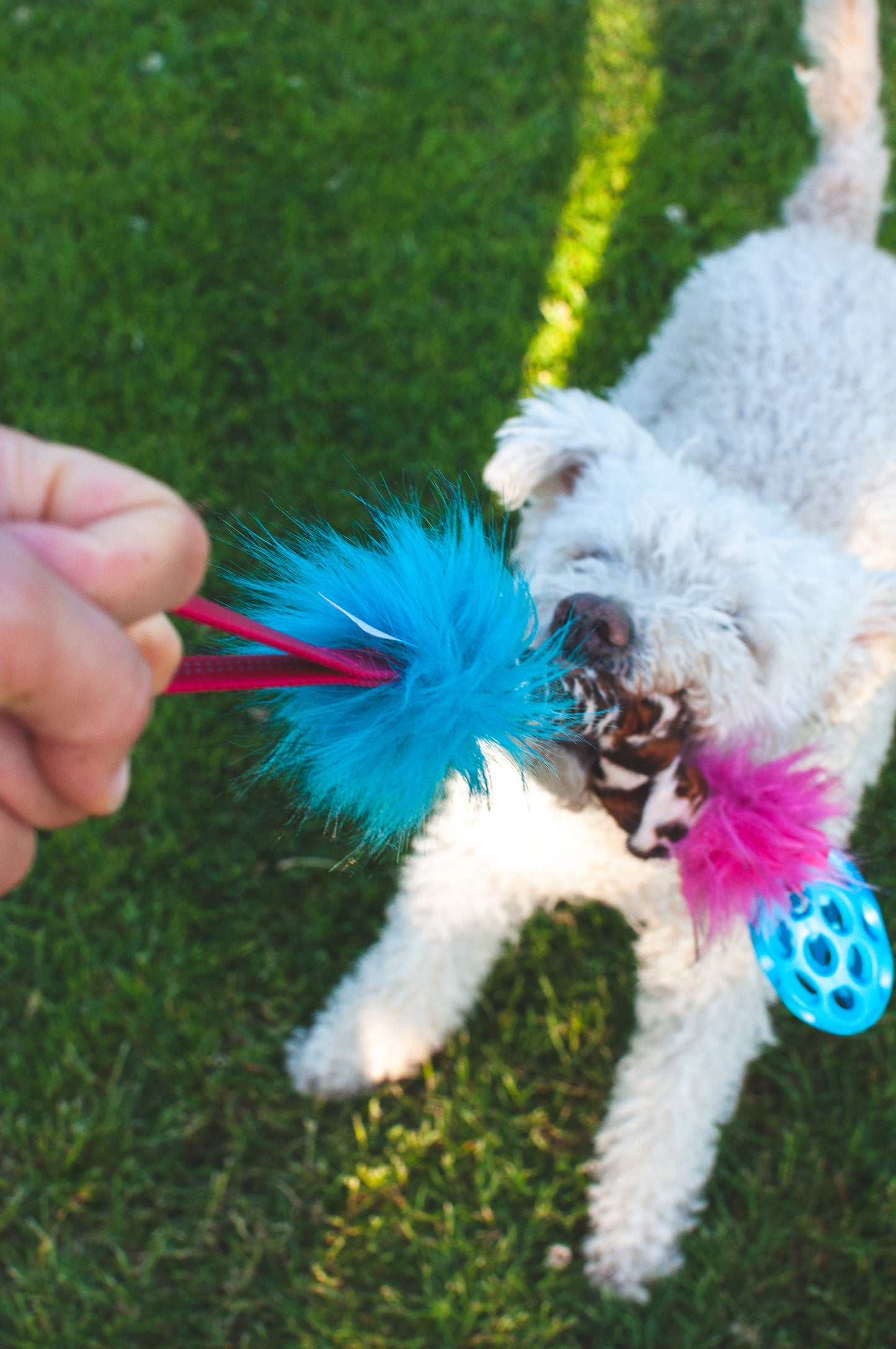 Elastisk Hol-ee Football prasselkampis str S