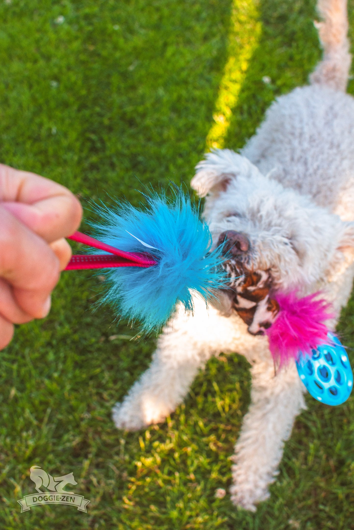 Elastisk Hol-ee Football prasselkampis str S