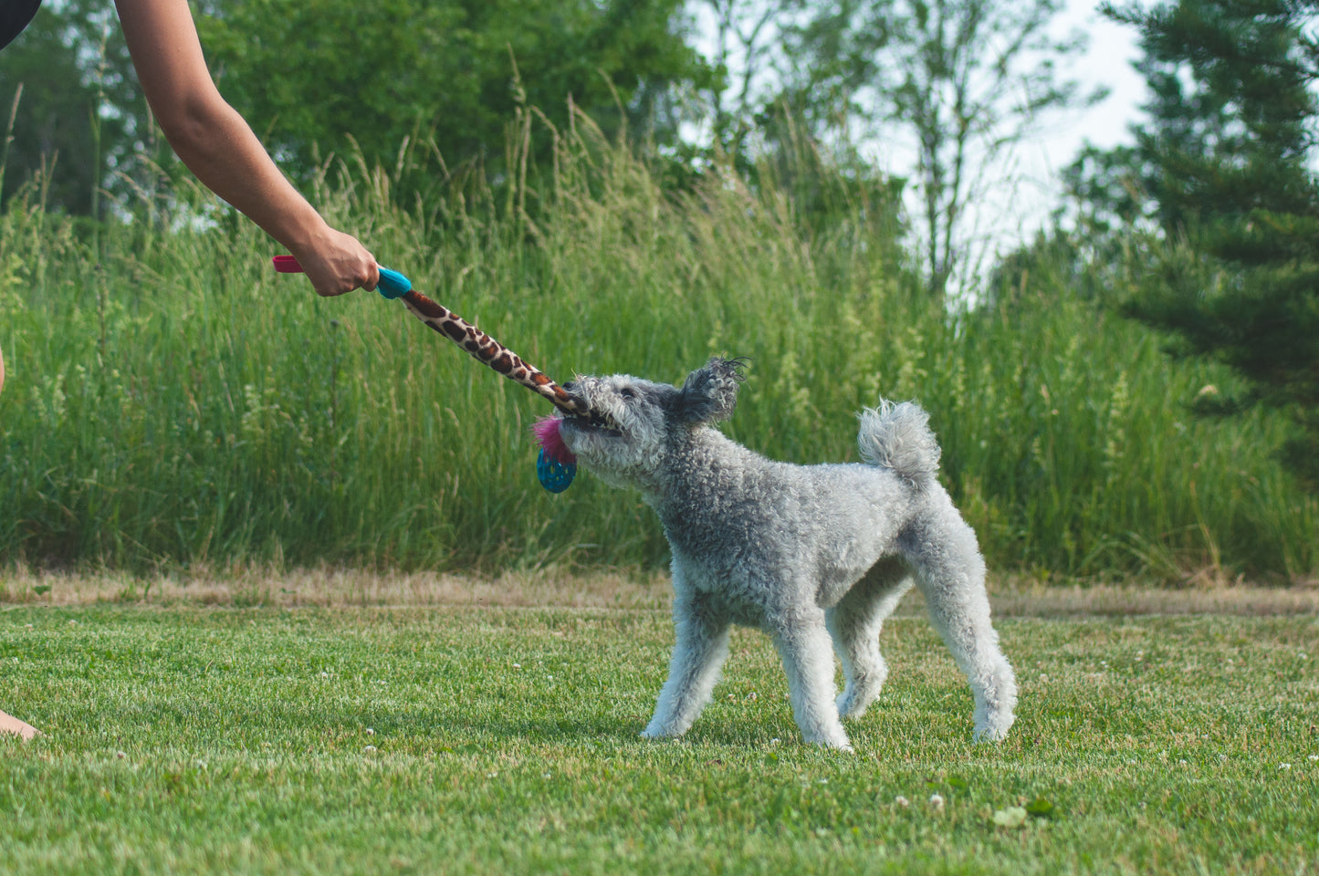 Elastisk Hol-ee Football prasselkampis str S