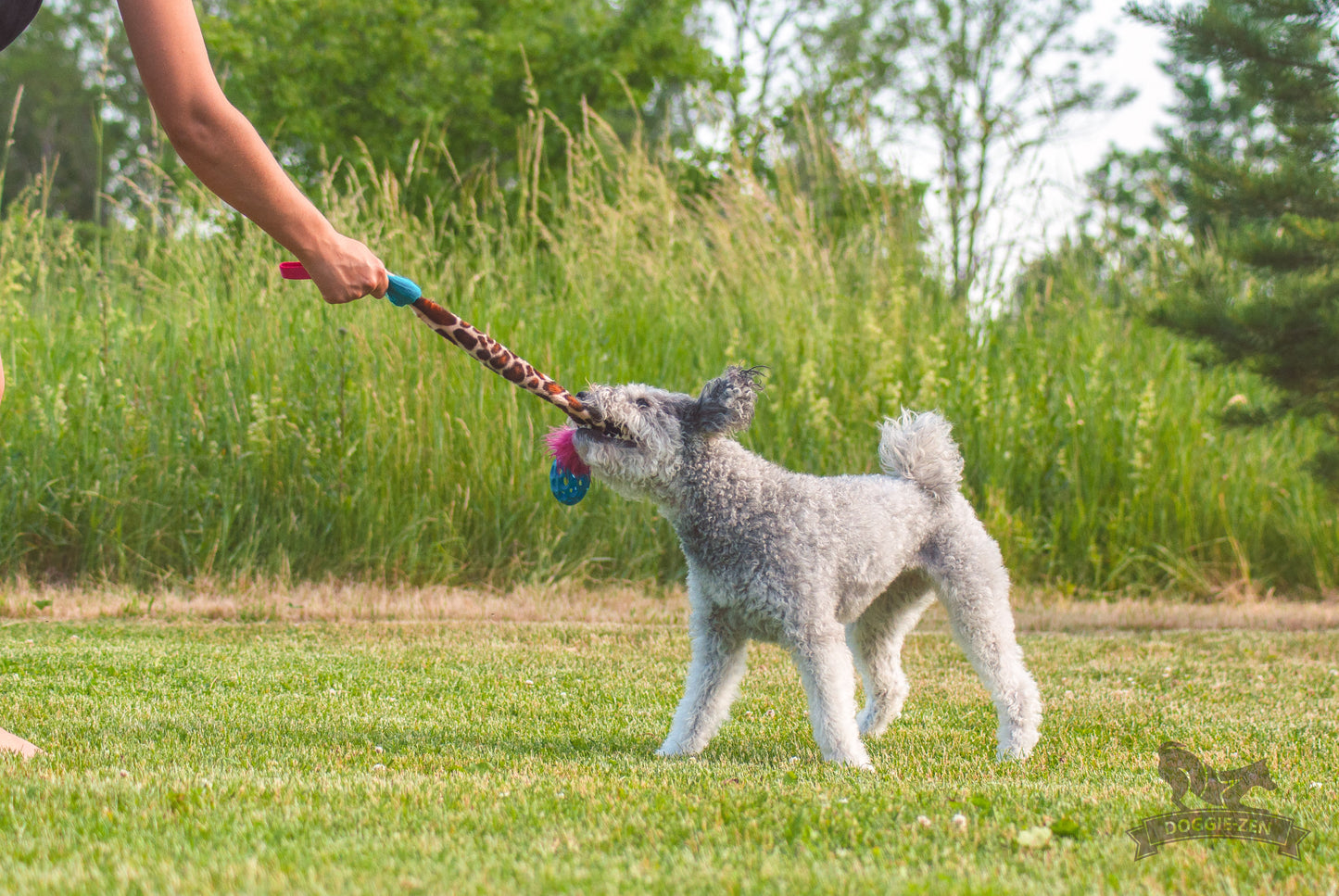 Elastisk Hol-ee Football prasselkampis str S