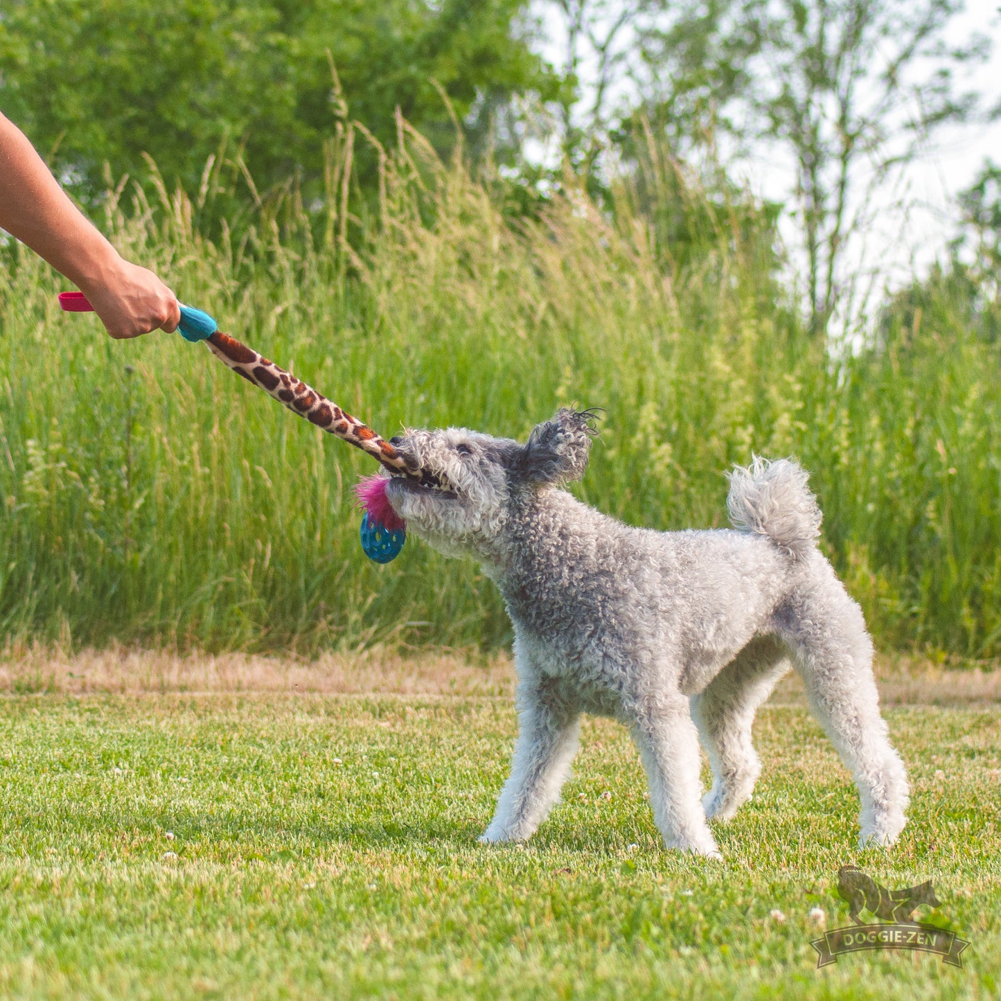 Elastisk Hol-ee Football prasselkampis str S