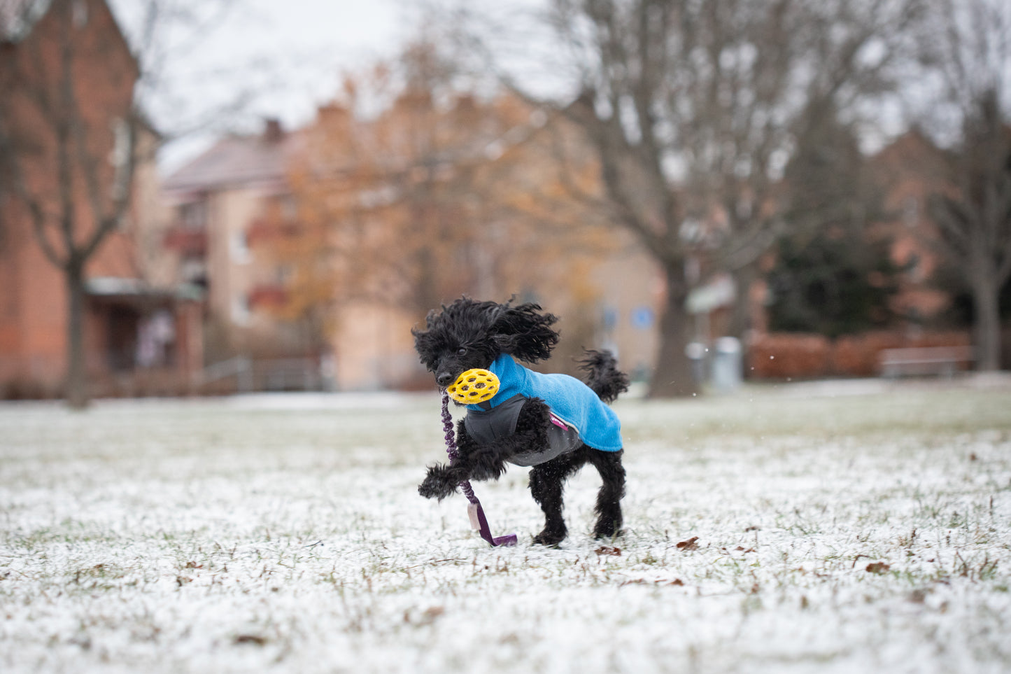 Elastisk Hol-ee football kampis str S