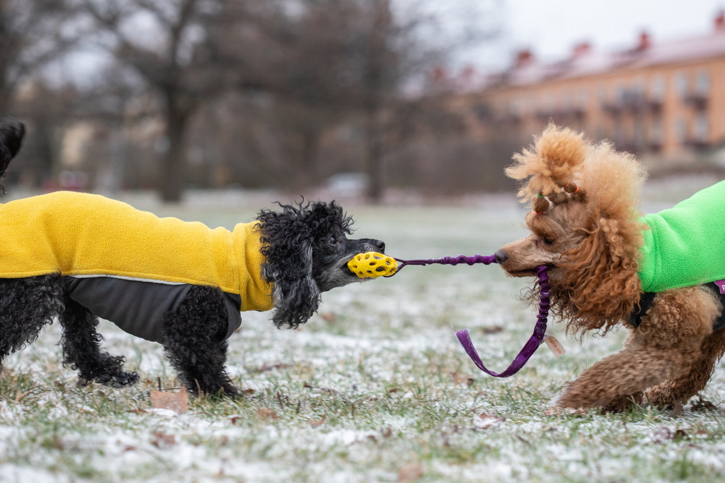 Elastisk Hol-ee football kampis str S