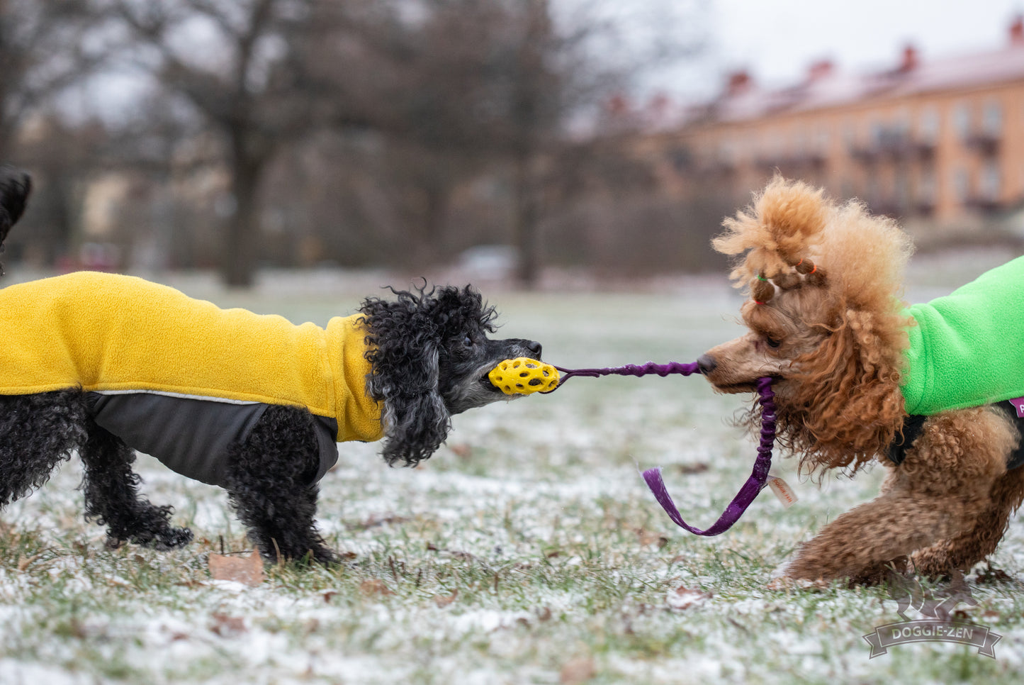 Elastisk Hol-ee football kampis str S