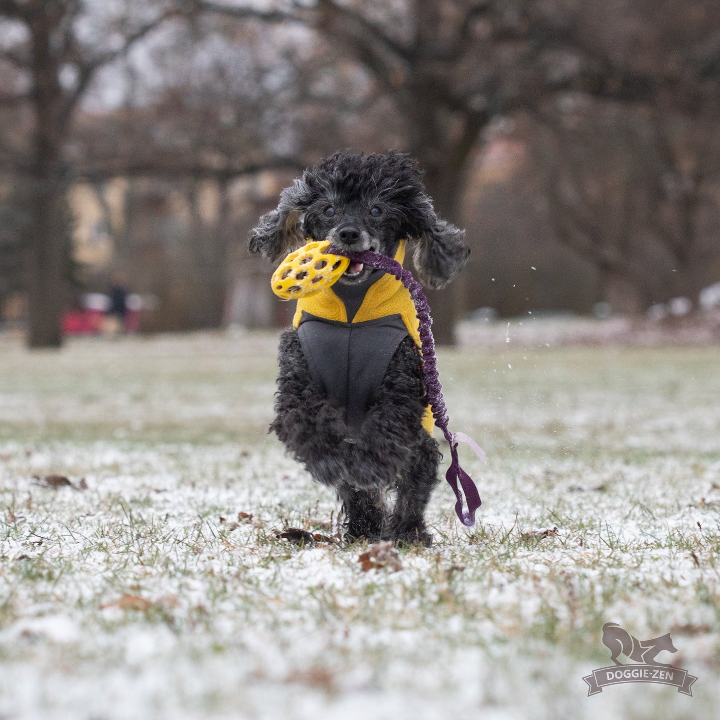 Elastisk Hol-ee football kampis str S