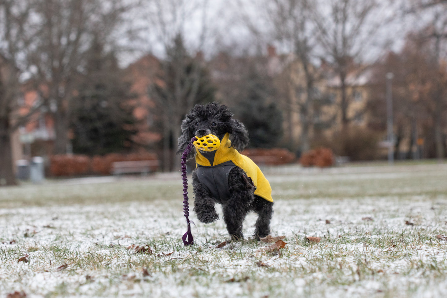 Elastisk Hol-ee football kampis str S