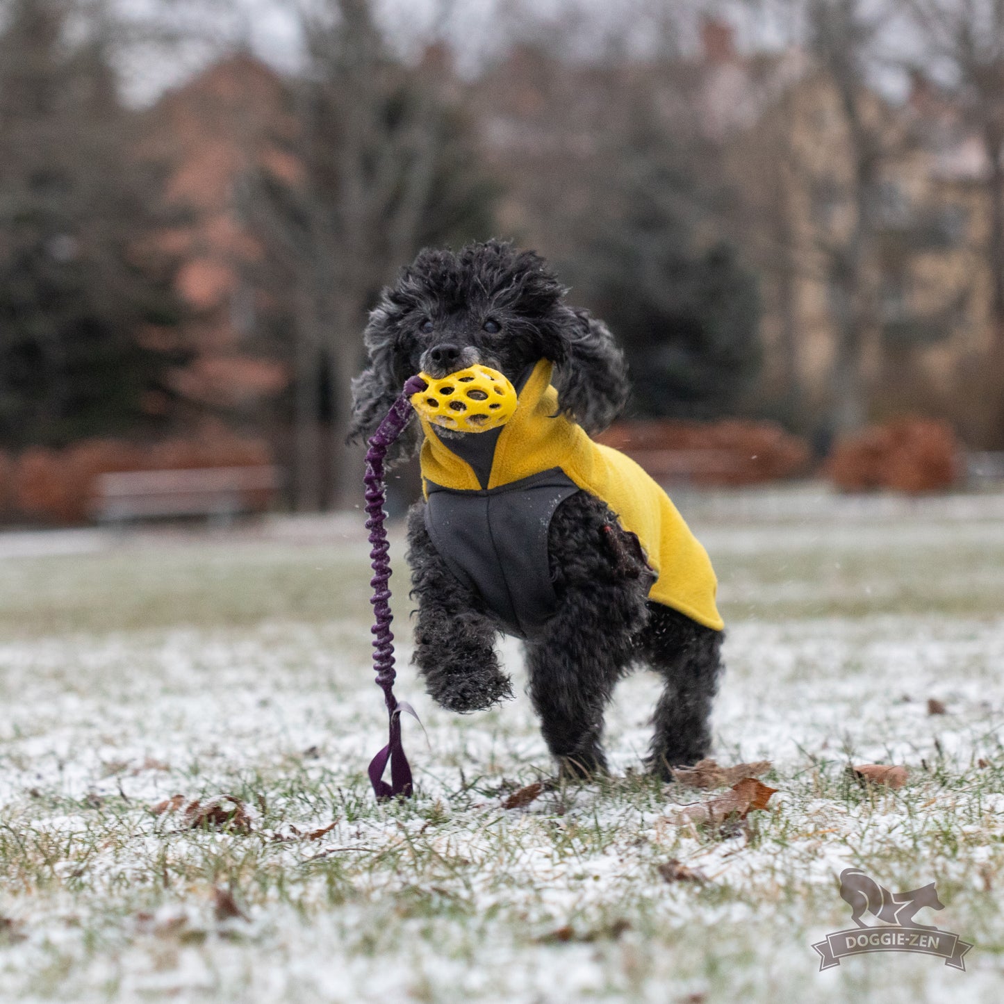 Elastisk Hol-ee football kampis str S