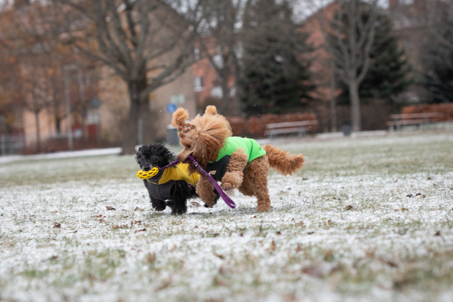 Elastisk Hol-ee football kampis str S