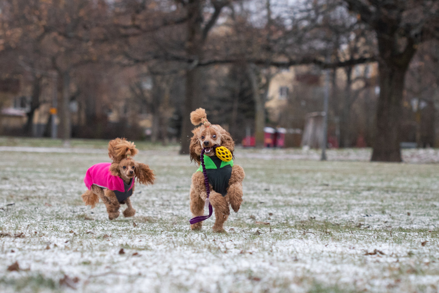 Elastisk Hol-ee football kampis str S