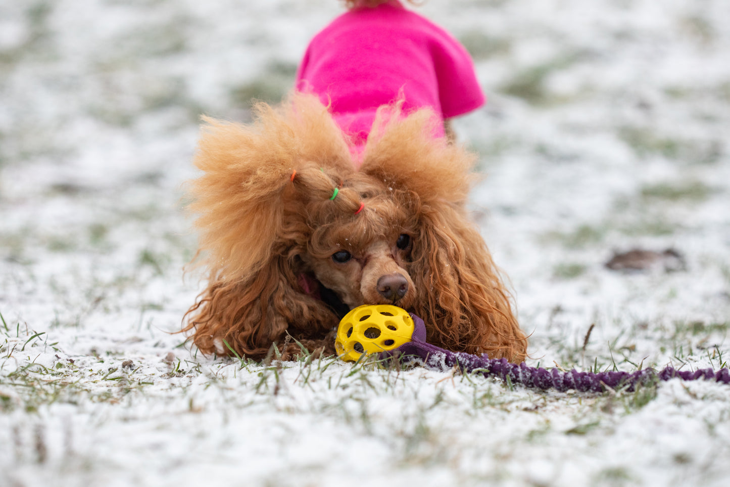 Elastisk Hol-ee football kampis str S