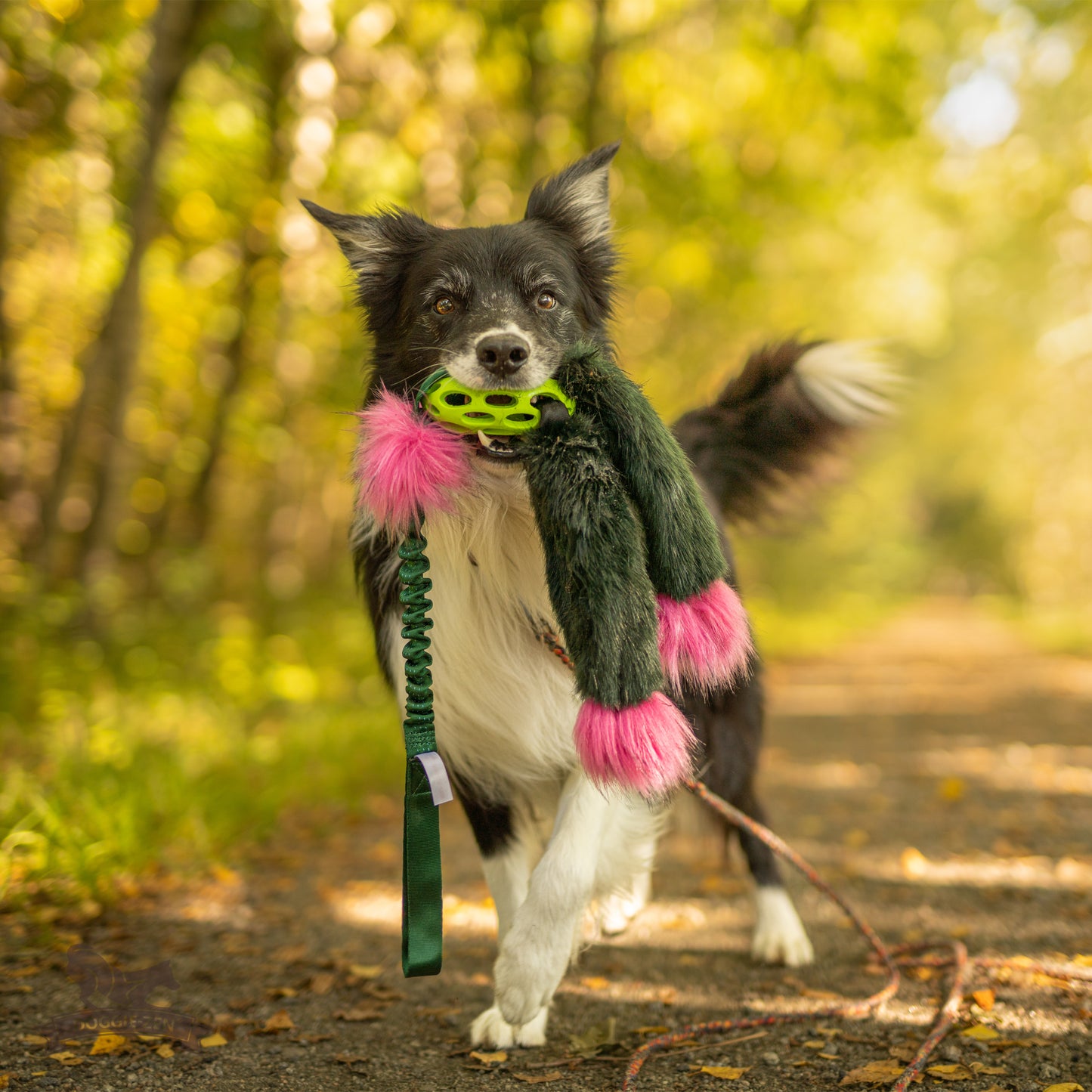 Elastisk Hol-ee blackfiskkampis L (med pip)