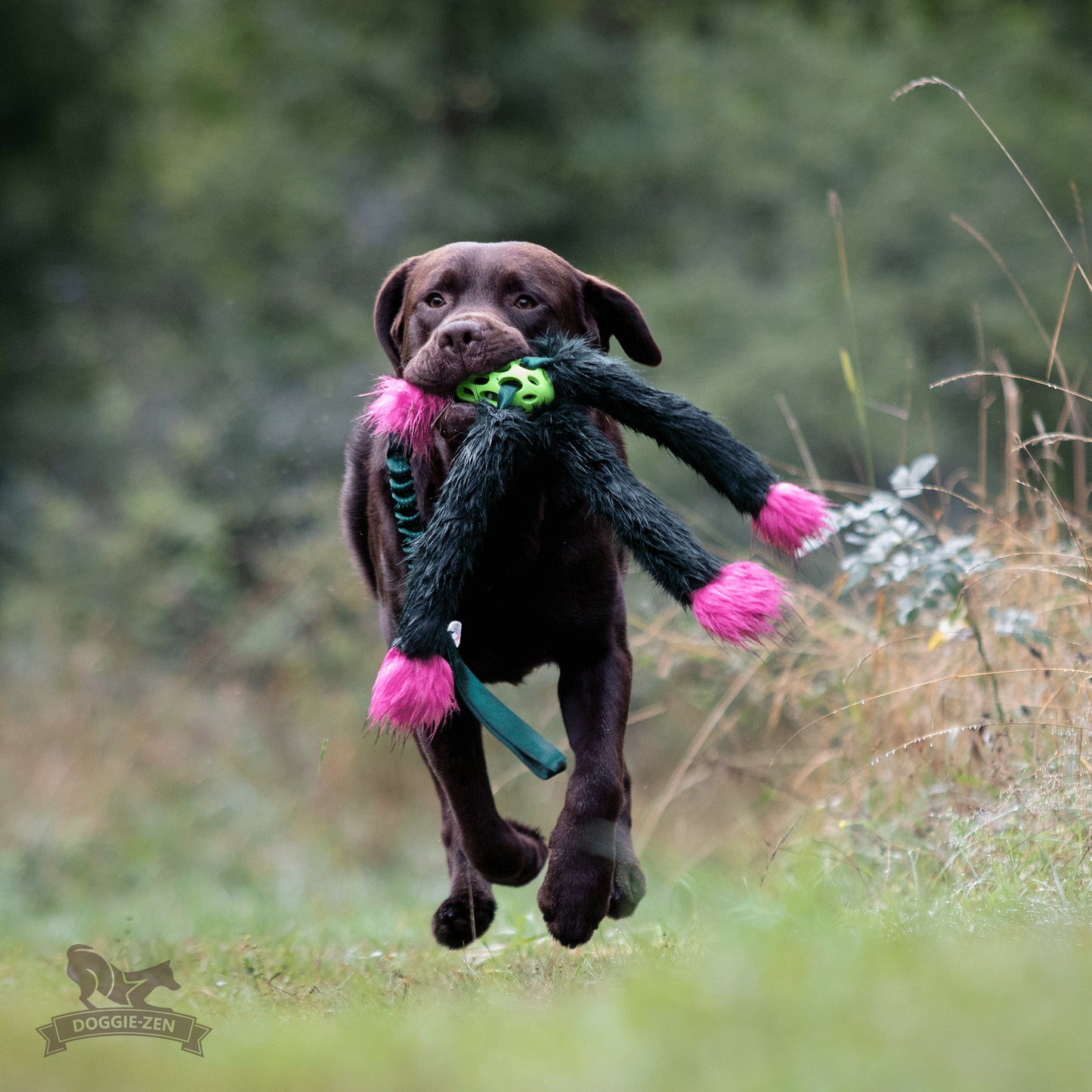 Elastisk Hol-ee blackfiskkampis L (med pip)