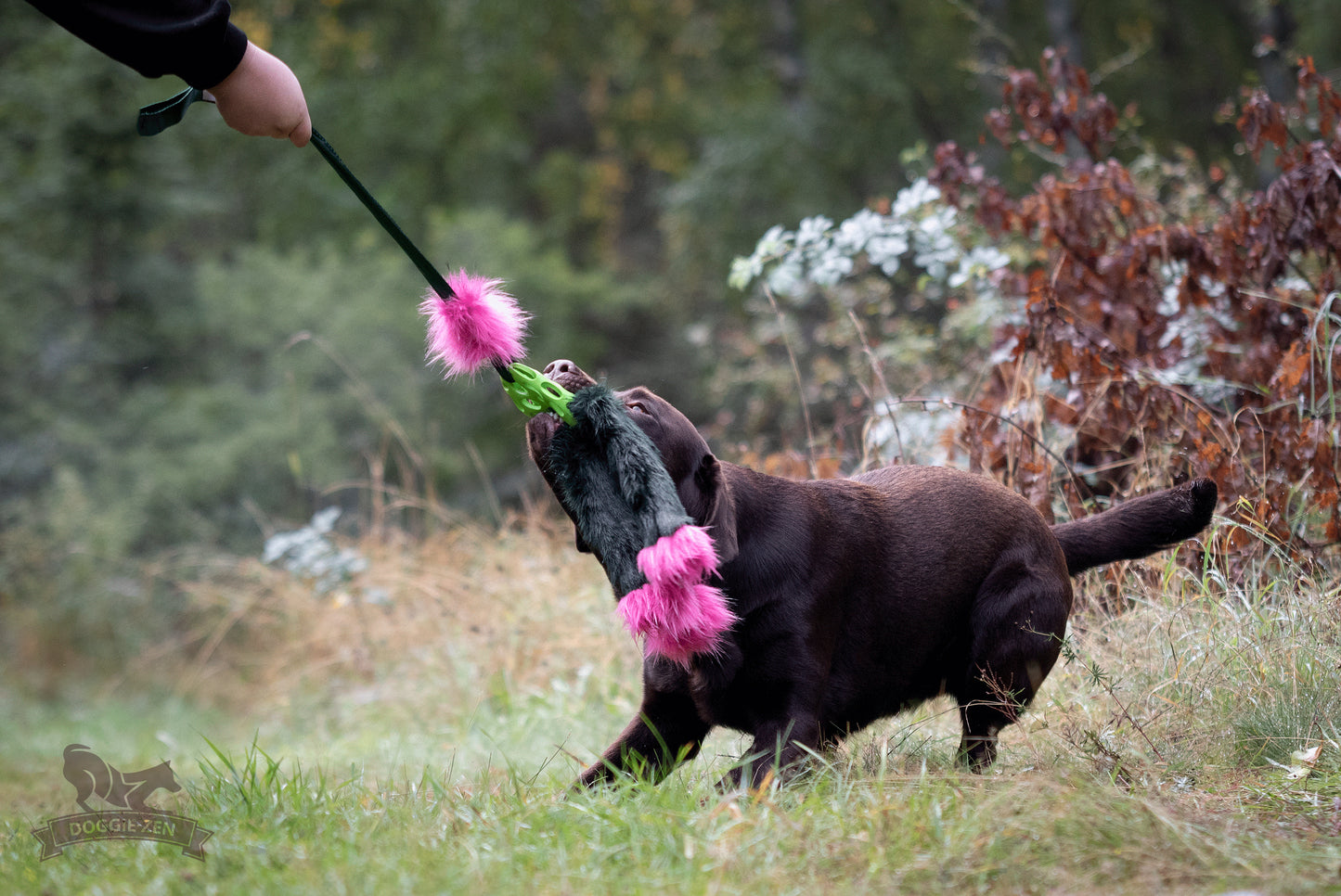 Elastisk Hol-ee blackfiskkampis L (med pip)