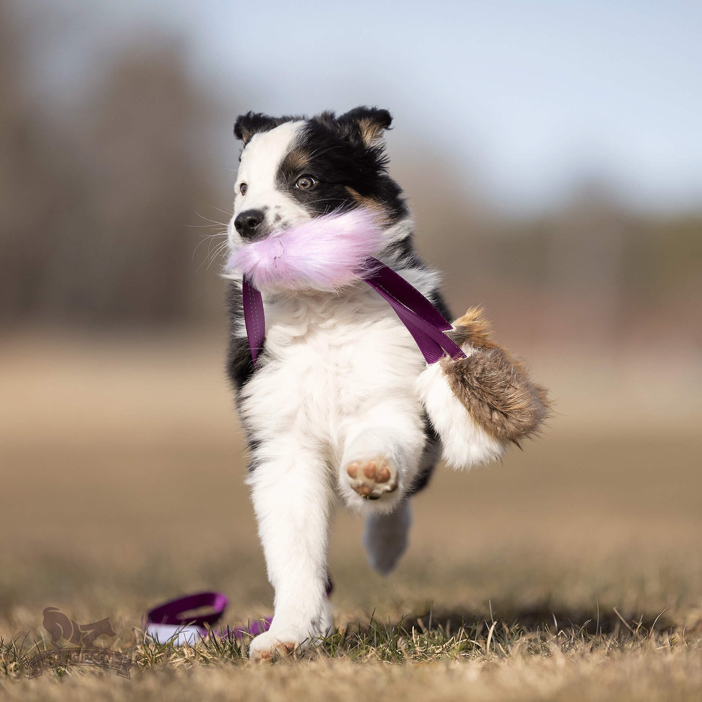 Elastisk blackfiskjager med bever/rev/kanin str S