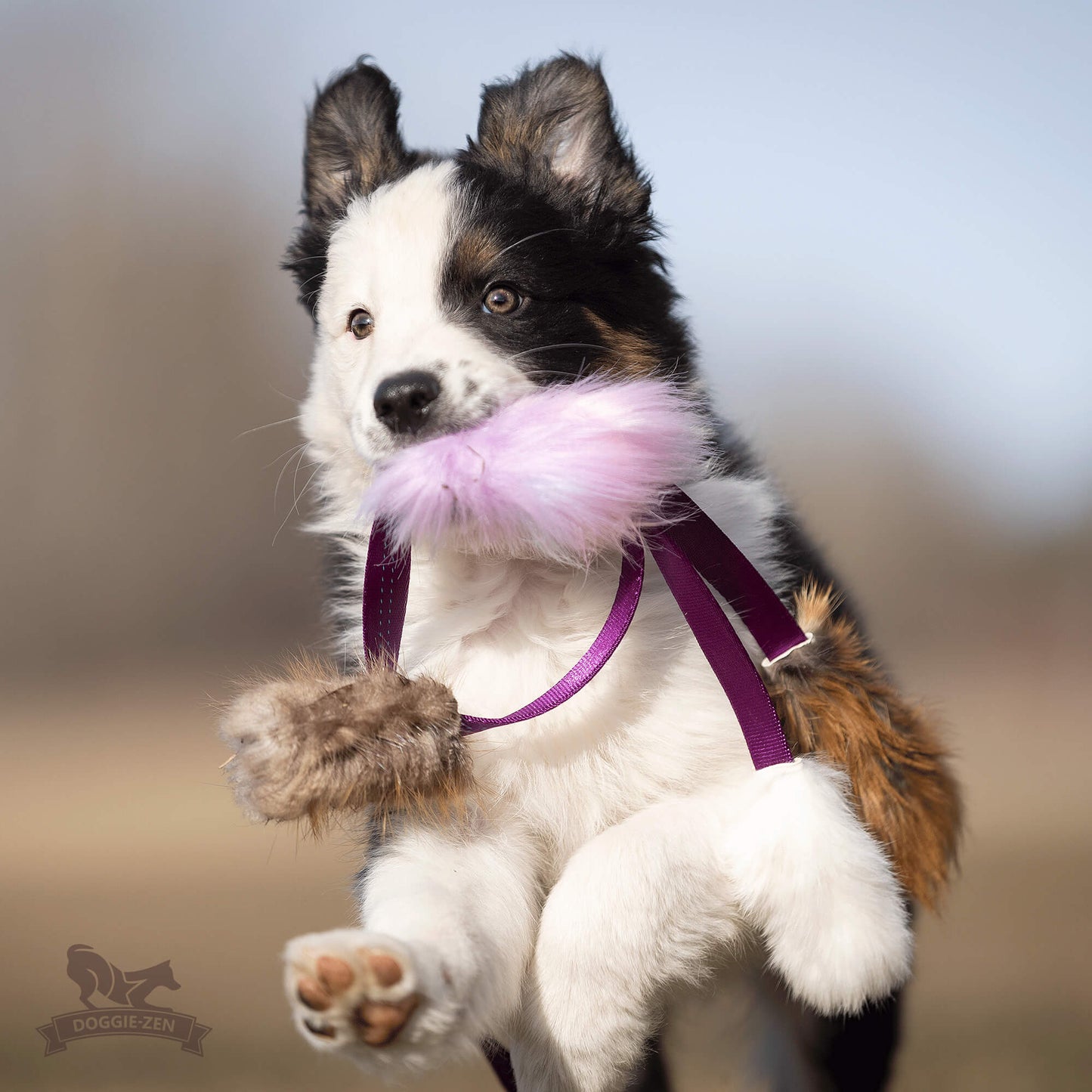 Elastisk blackfiskjager med bever/rev/kanin str S