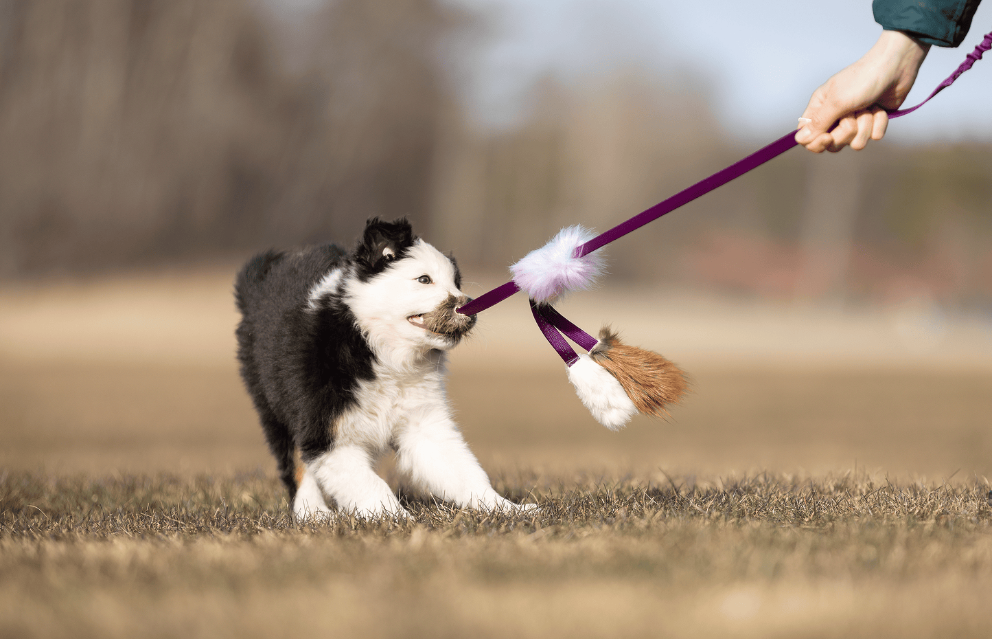 Elastisk blackfiskjager med bever/rev/kanin str S