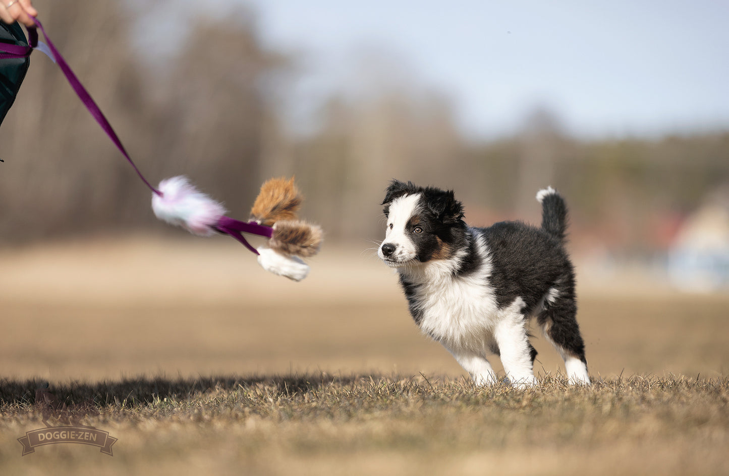 Elastisk blackfiskjager med bever/rev/kanin str S